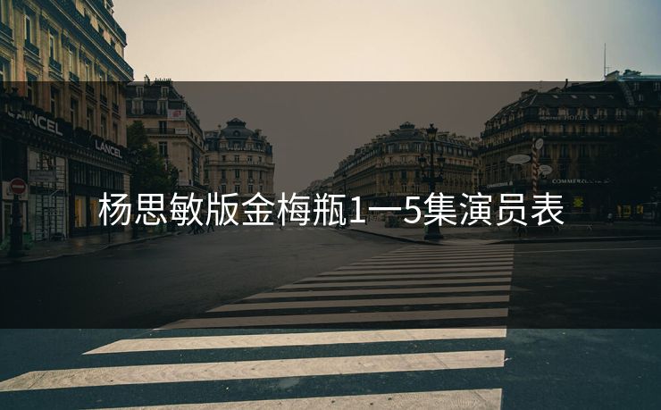 杨思敏版金梅瓶1一5集演员表