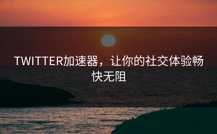 TWITTER加速器，让你的社交体验畅快无阻