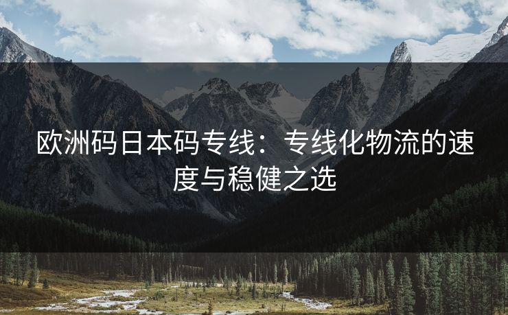 欧洲码日本码专线：专线化物流的速度与稳健之选