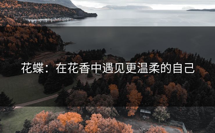 花蝶：在花香中遇见更温柔的自己