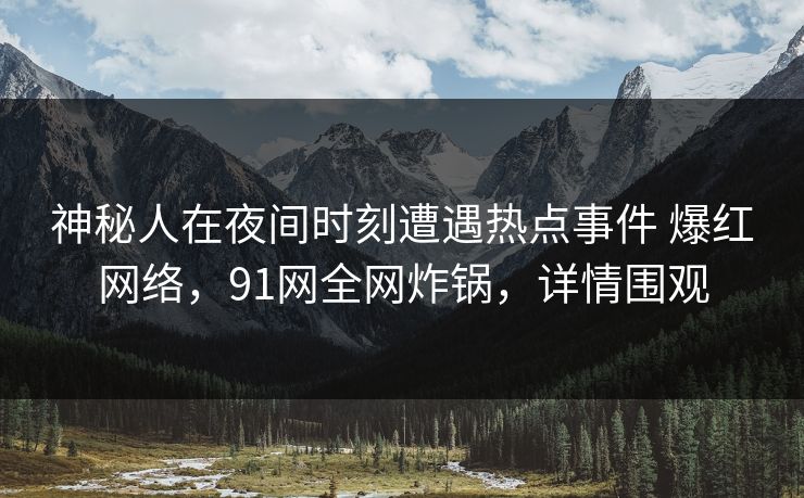 神秘人在夜间时刻遭遇热点事件 爆红网络，91网全网炸锅，详情围观